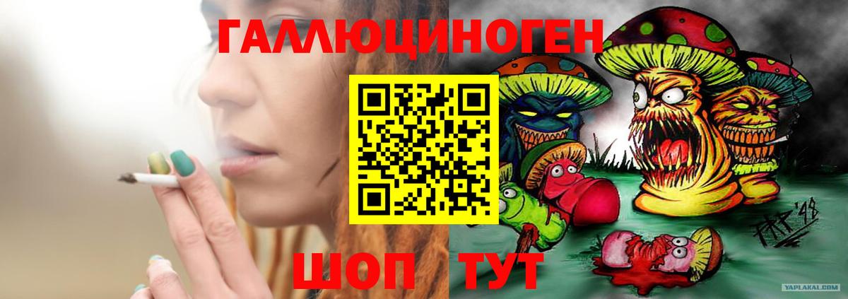 Галлюциногенные грибы Psilocybine cubensis  Вход с VPN  Красноярск 